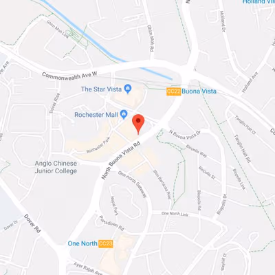 31 Rochester Drive, Singapore Image 15