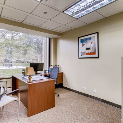 8745 W Higgins Road, Chicago Image 1