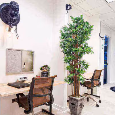 4800 N Federal Hwy, Boca Raton Image 5