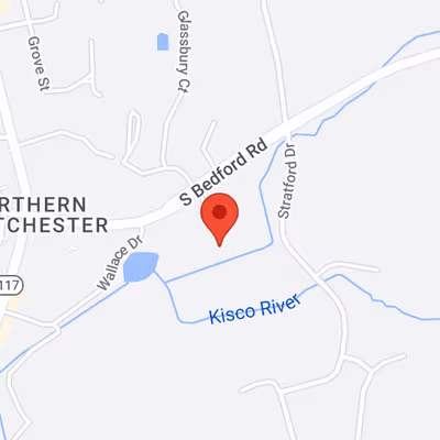 100 S Bedford Rd, Mt Kisco Image 7