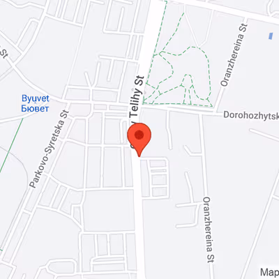 6 Oleny Telihy Str, Kyiv Image 8