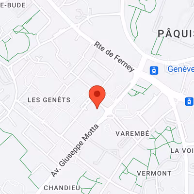1 Rue Du Pre-de-la-bichette, Geneva Image 13
