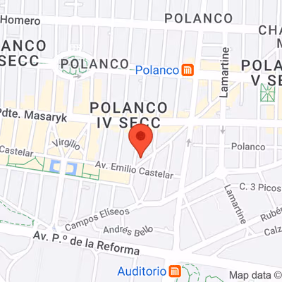 Aristoteles 77 Polanco, Mexico City Image 9