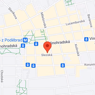 45 Slezská, Vinohrady Image 8