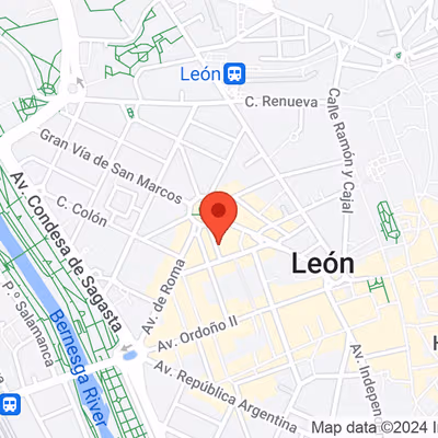 2 Calle Alférez Provisional, León Image 15