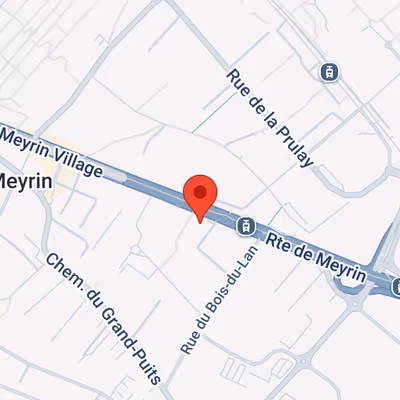 267 Rte De Meyrin, Meyrin Image 7