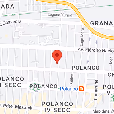 316 Eugenio Sue Polanco Polanco Iv Secc Miguel Hidalgo, Ciudad De México Image 9