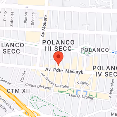 85-B Edgar Allan Poe Polanco Polanco Iii Secc Miguel Hidalgo, Ciudad De México Image 12