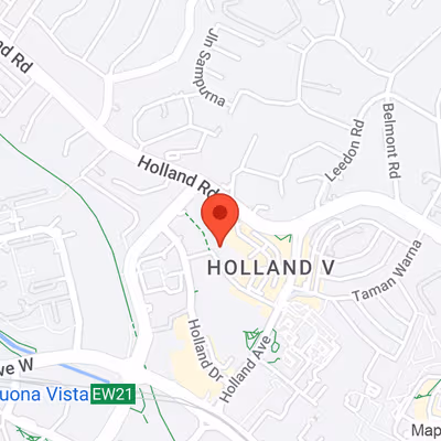 7 Holland Village Way, Singapore Image 14