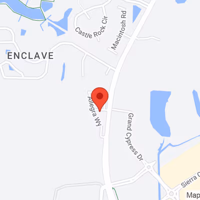 25200 Sawyer Francis Ln, Lutz Image 9