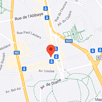 523 Av Louise, Brussels Image 11