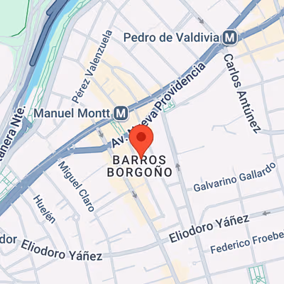 160 Dr Manuel Barros Borgoño Providencia, Santiago De Chile Image 9