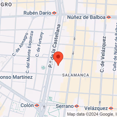 18 Paseo De La Castellana, Salamanca Image 11