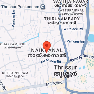 Naikkanal, Thrissur Image 6