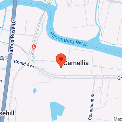 9 Grand Avenue, Camellia Image 14