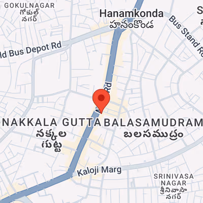 Nakkala Gutta, Hanamkonda Warangal Image 5