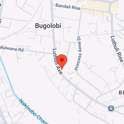 59 Luthuli Ave Bugolobi, Kampala Image 11