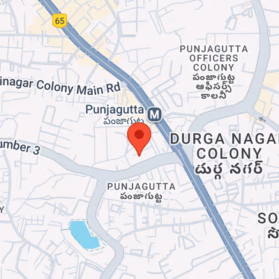 Plot No 5 & 6 Nagarjuna Hills Punjagutta, Hyderabad Image 10