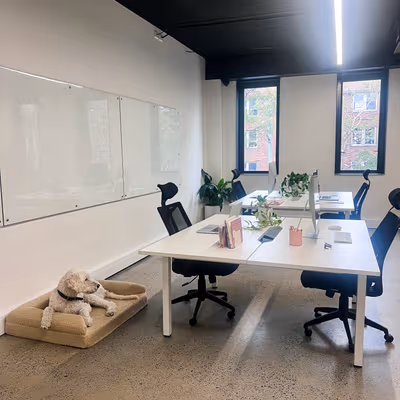 619 Elizabeth Street, Surry Hills Image 2