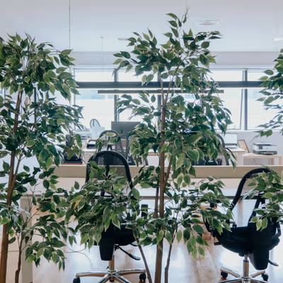 98 Rua Doutor Carlos Pires Felgueiras, Maia Image 3