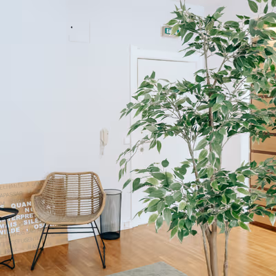 98 Rua Doutor Carlos Pires Felgueiras, Maia Image 5