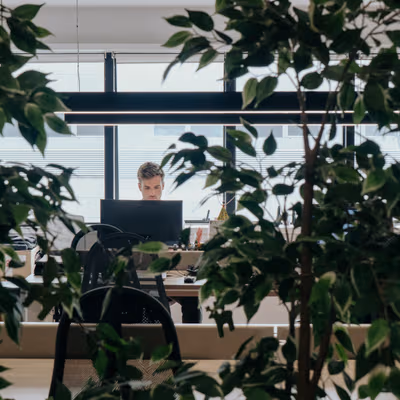 98 Rua Doutor Carlos Pires Felgueiras, Maia Image 7