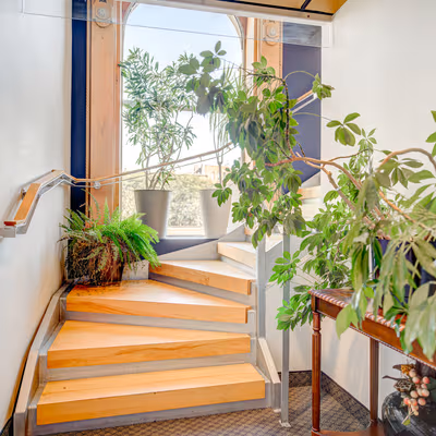 204 Rue Du Saint-sacrement, Montréal Image 4