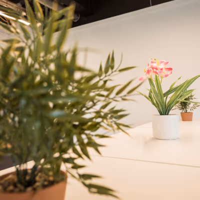 Victoria Street, Greater Manchester Image 7