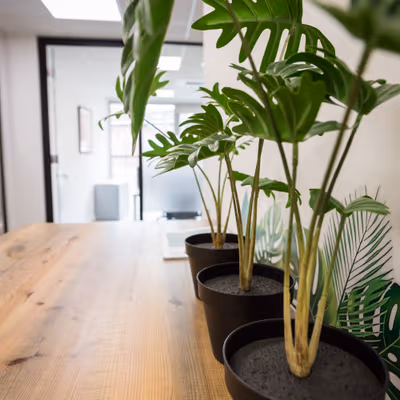 Victoria Street, Greater Manchester Image 11