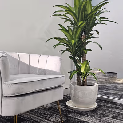 107 Miles Platting Road, Eight Mile Plains Image 5