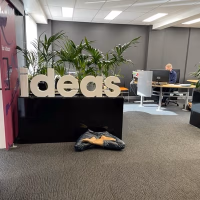 121 Alexander Street, Crows Nest Image 6