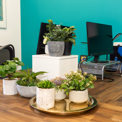 210 Macquarie Road, Springwood Image 3