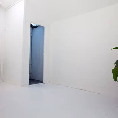 189B St Johns Road, Forest Lodge Image 3