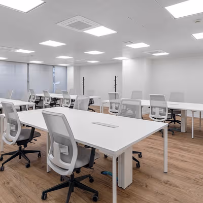 91 Paseo De La Castellana, Madrid Image 2