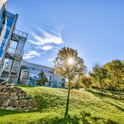 4 Lensmannslia, Asker Image 7