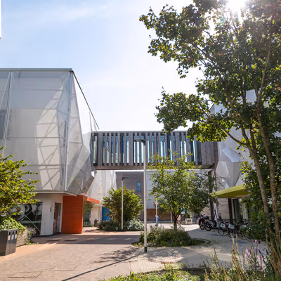 V.le Decumano, 36, 20157 Milano MI, Italia Viale Decumano, Milano Image 4