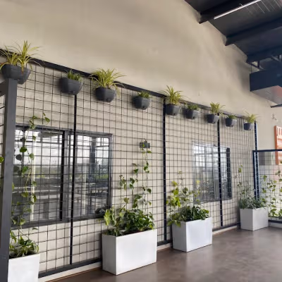 Agara Village 1st Sector Hsr Layout, Bengaluru Image 4