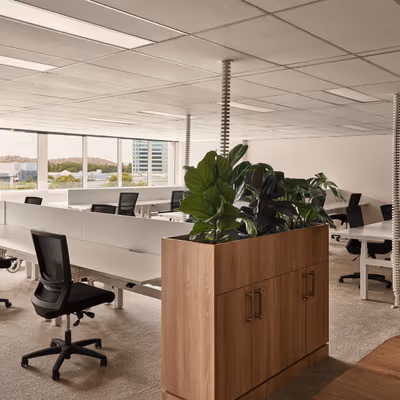 4 Mort Street, Canberra Image 1
