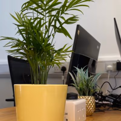 64-66 Wingate Square, London Image 5