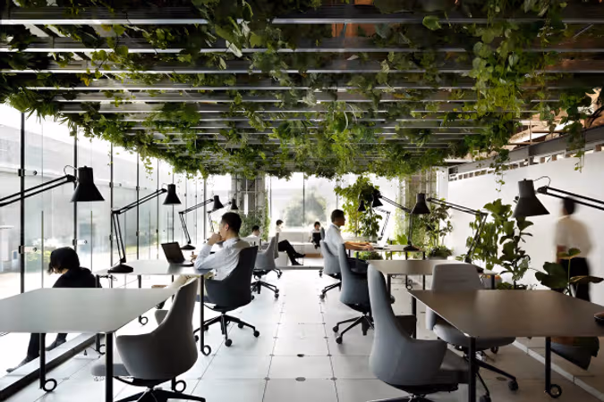 The Benefits of Biophilic Design for Flexible Workspaces