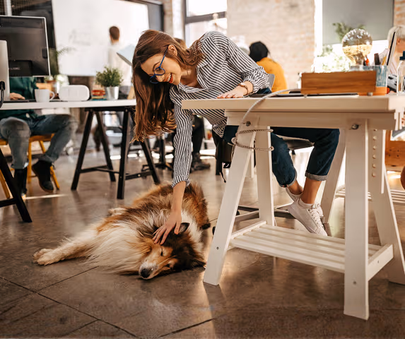 Work With Your Best Friend: 10 Pet-Friendly Coworking Spaces Around the World
