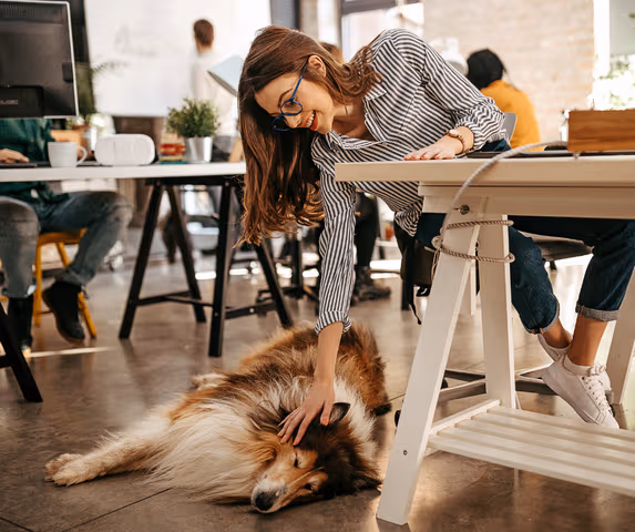 Work With Your Best Friend: 10 Pet-Friendly Coworking Spaces Around the World
