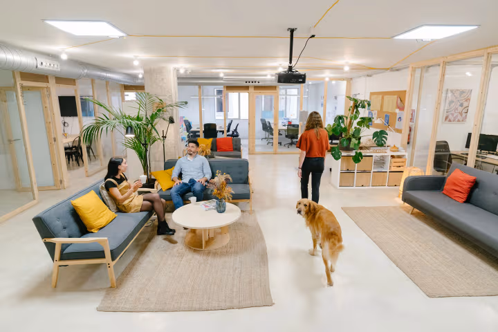 Your Guide To The Best Pet-Friendly Coworking Spaces in Perth!