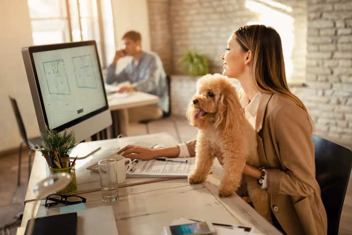 10 Top Pet-friendly Coworking Spaces in Melbourne
