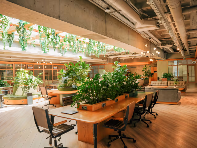 How to Make Your Workspace Eco-Friendly: Tips for Office Sustainability