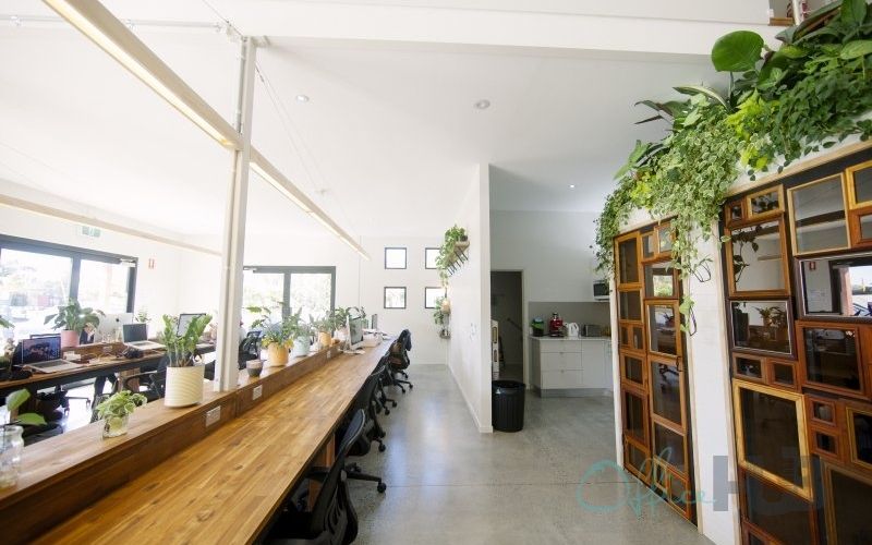 7 Grevillea Street, Byron Bay Image 1