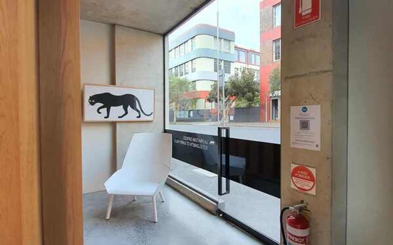 537 Elizabeth Street, Surry Hills Image 3