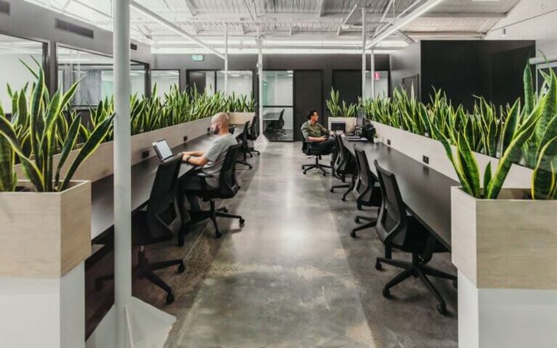 384 Keilor Road, Niddrie Image 7