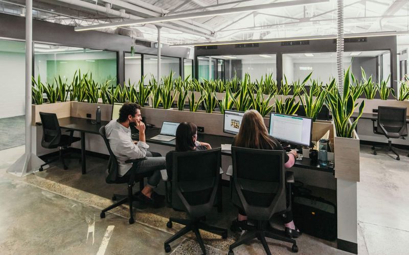 384 Keilor Road, Niddrie Image 3