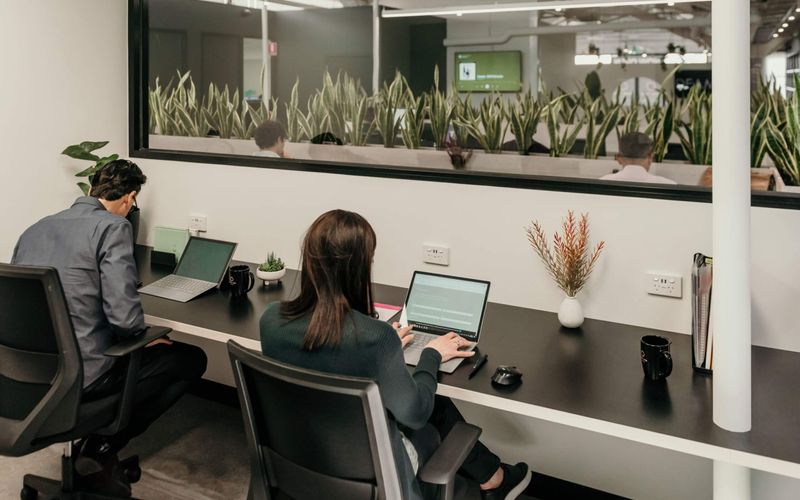 384 Keilor Road, Niddrie Image 10